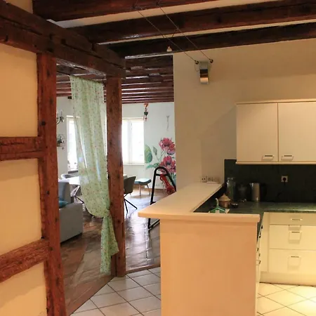 Apartamento Historic Center - Au Buisson De Roses - Bookingalsace *