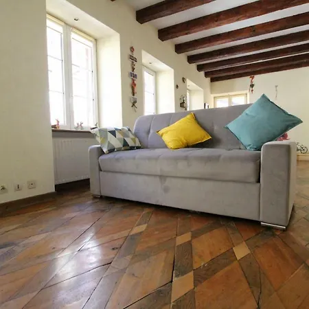 Historic Center - Au Buisson De Roses - Bookingalsace Apartamento Colmar
